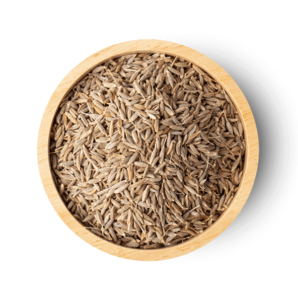 dried-spice